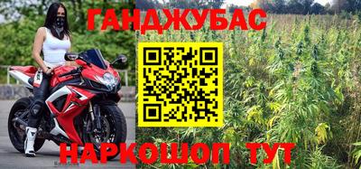 сатива Кулебаки