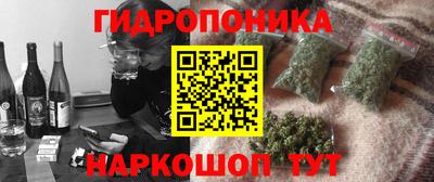 сатива Кулебаки