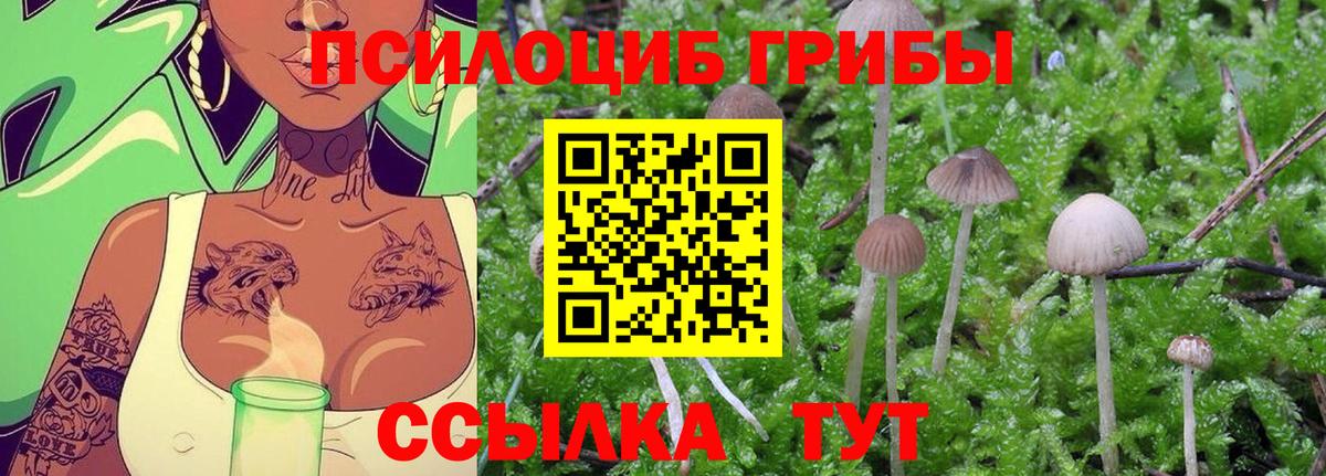 Псилоцибиновые грибы Magic Shrooms  Вход с VPN  купить  цена  Кириши  Псилоцибиновые грибы Psilocybe 